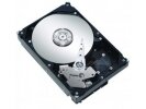 ST3320620AS (320G SATA300 7200)