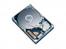 ST3320620NS (320G SATA300 7200)